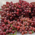 fresh red globe grapes Chinese red grapes red globe grape